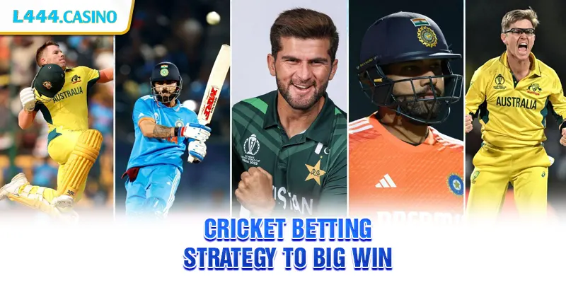 Cricket Betting Strategy to Big Win