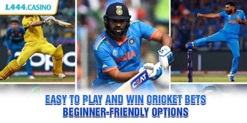 Easy to Play and Win Cricket Bets – Beginner-friendly options
